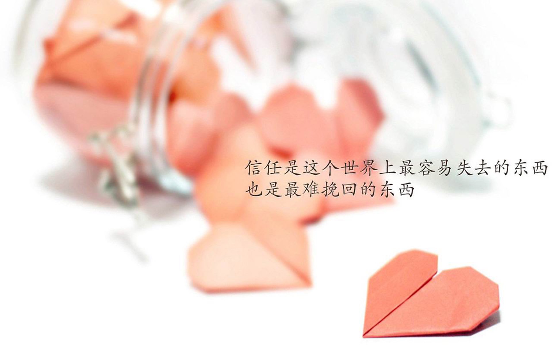 有机蔬菜专卖店加盟（有机蔬菜专卖店加盟项目）